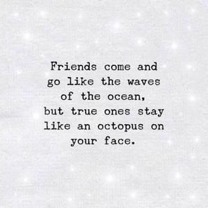 Meet your Posher, Laurie